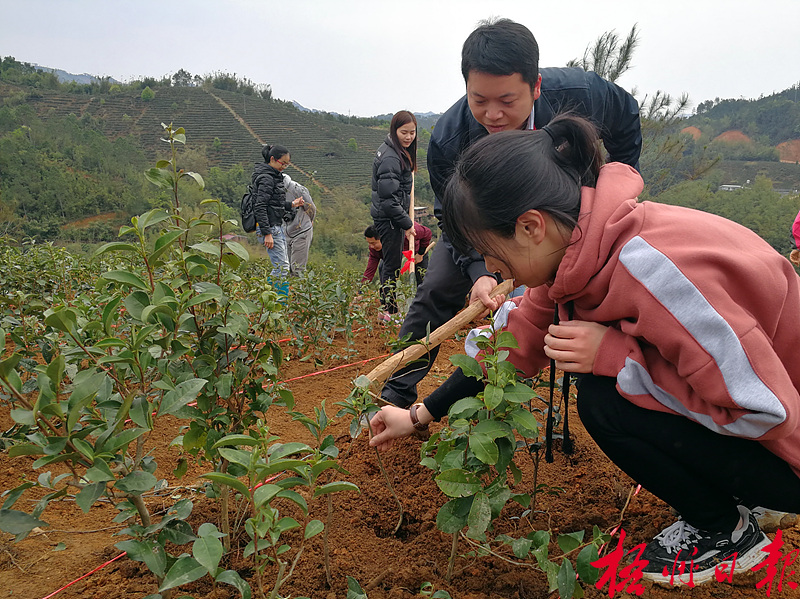 六堡镇人口多少_六堡镇旅游景点(2)