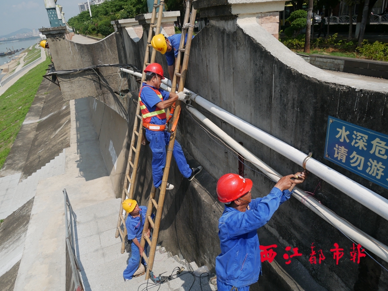 bf732591-e4e3-4d22-9e72-bdf0398ae44b.jpg