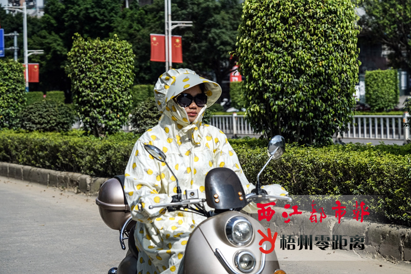 79d94fdb-a33d-411b-8184-30c574644a58.jpg