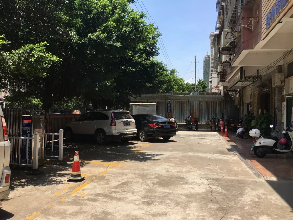 长洲街道人口_人口普查(2)