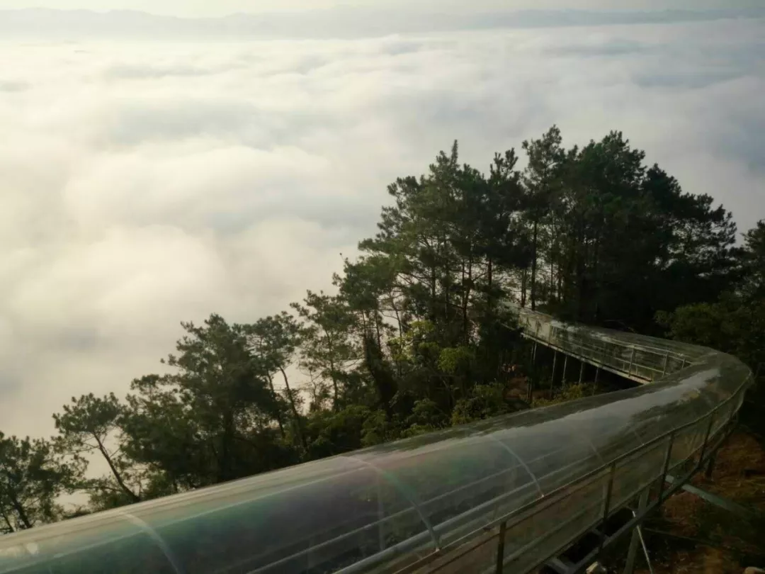 梧州有多少人口_大梧州人都在传这一大喜讯 以后去清远只要2.5小时了 因为(3)