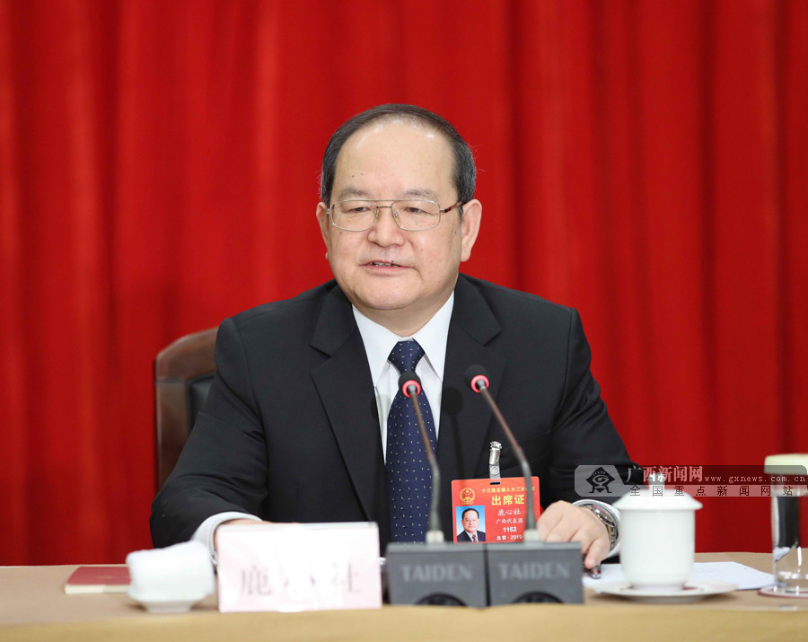 广西代表团审议全国人大常委会工作报告 鹿心