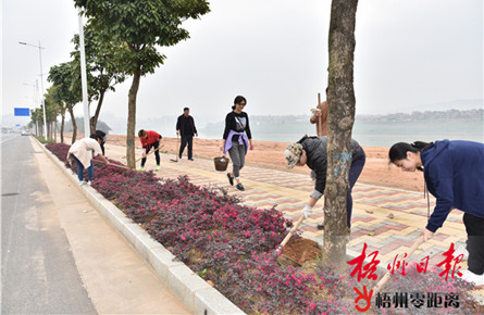 抚育新栽六旺树