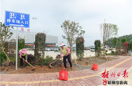 绿化美化机场环境 