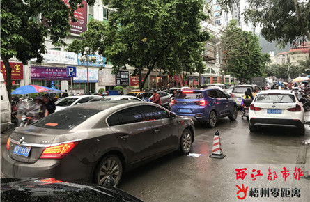 宝石城东门路段车辆占道停放