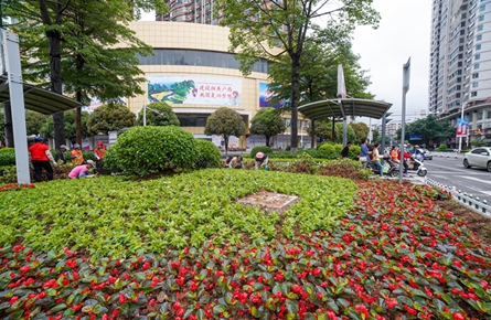 时花装点道路