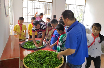 学习制茶传承工艺