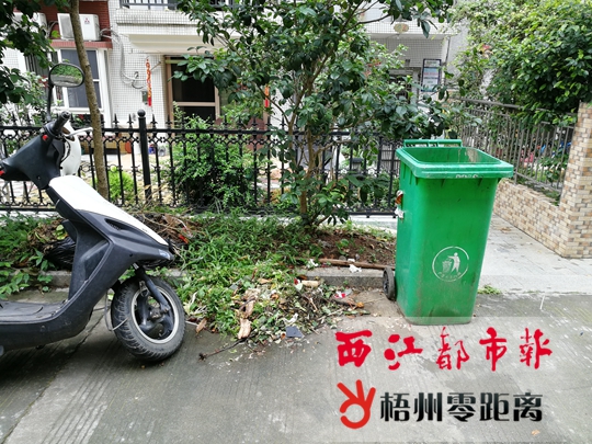 环卫工人不再进小区收垃圾？
