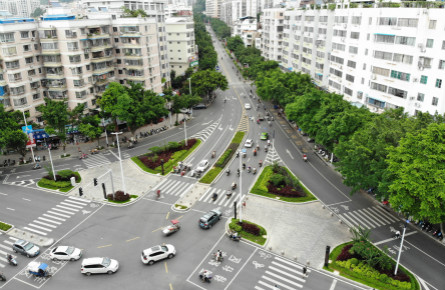 道路绿意常驻