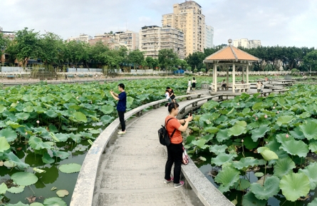 城市公园“变形记”