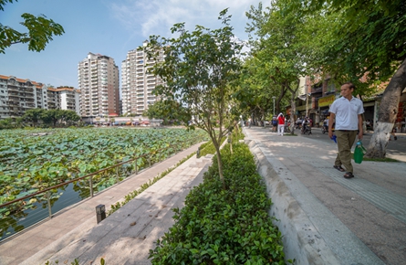 街景更靓丽