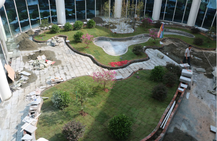 苍海湿地公园建设雨水花园