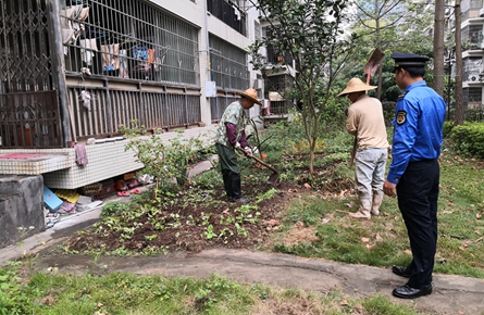 我市多部门联合整治枣冲小区环境卫生乱象