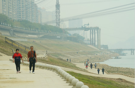 满眼皆“绿” “道”处皆景