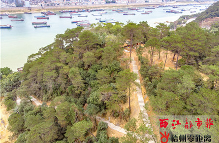 拓宽登山道路 