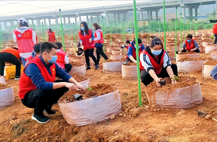 帮助村民种植百香果