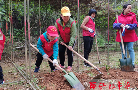 义务植树添绿意