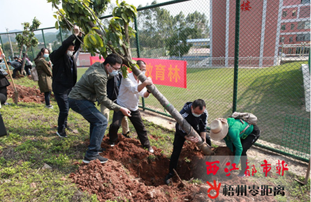 积极植树造林