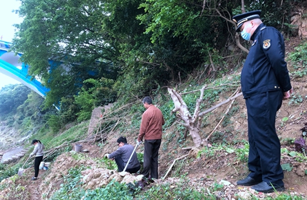 打击河堤护坡种菜行为