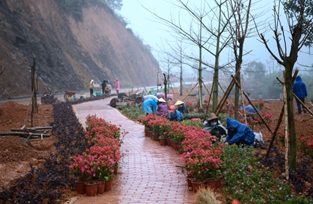 建设沿路景观带