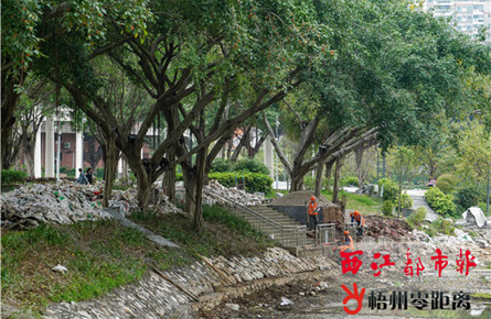 潘塘公园二期改造