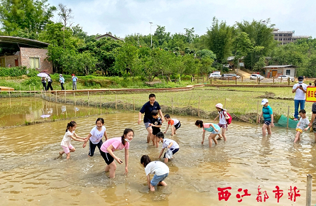 体验劳动艰辛 感受收获喜悦