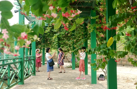 增植花卉 提升景观