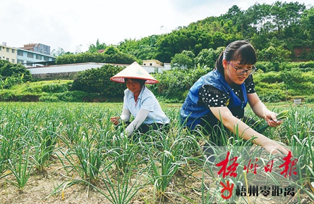 扎根基层 情倾农家 | 梧州市驻村第一书记掠影