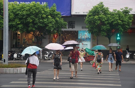 阵雨“解闷”