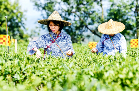 “非遗”里的大产业