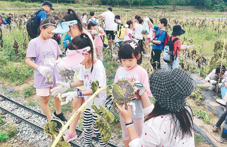 实地学习动植物知识