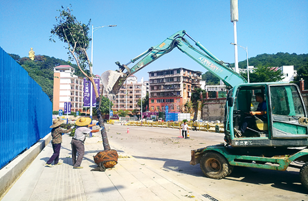 植树种花绿化道路