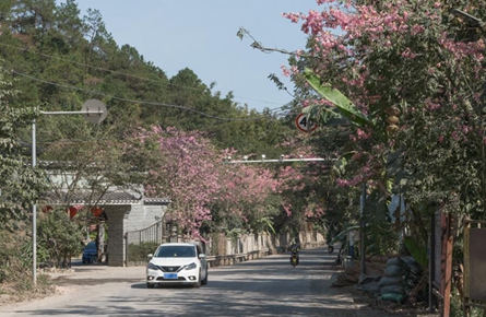 道路添美景