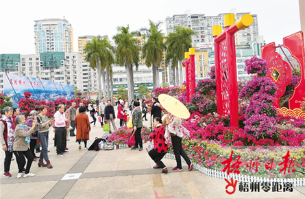 市民赏花热情不减