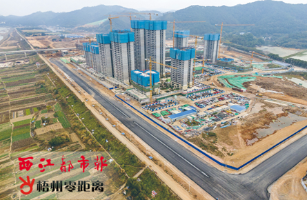 推进南岸 路网建设