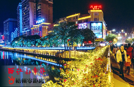 欣赏沿江夜景