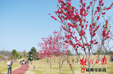 观花赏景正当时