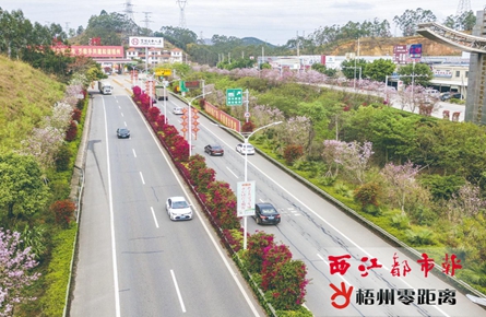 道路绚丽多彩