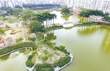 绿树红花景色美