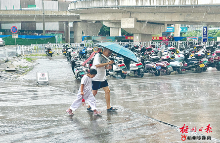 暴雨送清凉