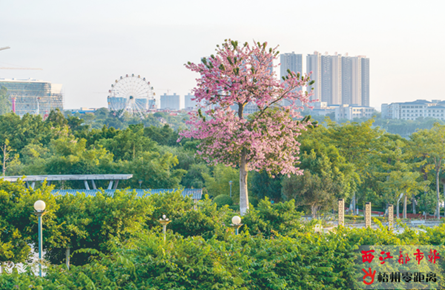 玫瑰湖秋景