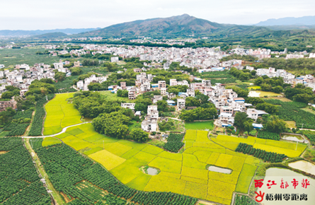 乡村风景美如画