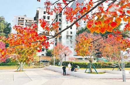 老城区 越来越美