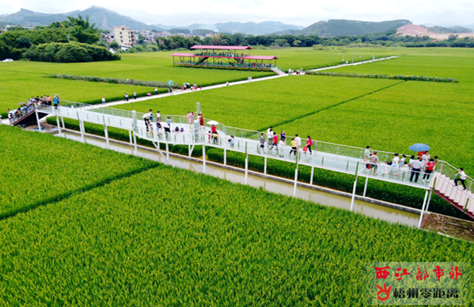 打造特色旅游丰富市民生活