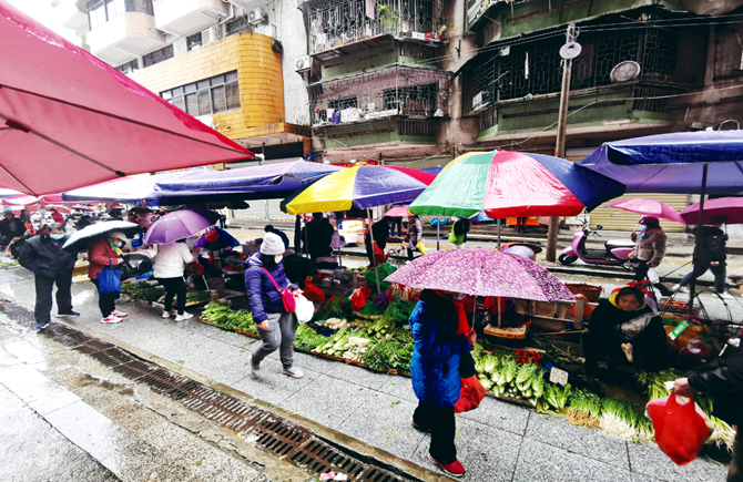 蔬菜价格上涨