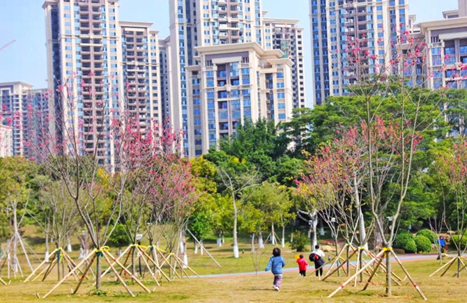 春风送暖赏花踏春正当时