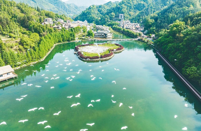 蒙山县生态环境建设成效显著