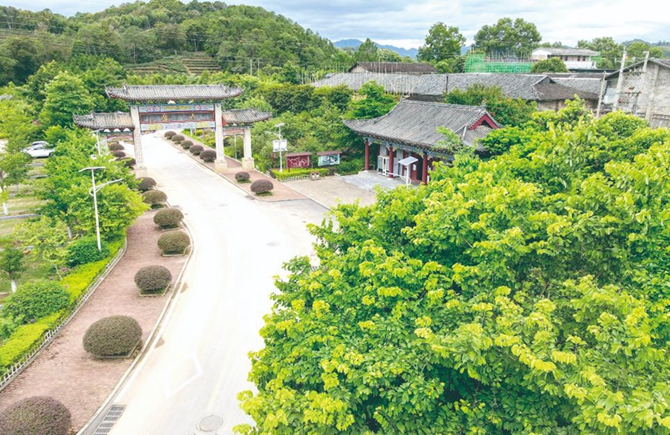 苍梧六堡特色小镇建设见证茶产业强势崛起