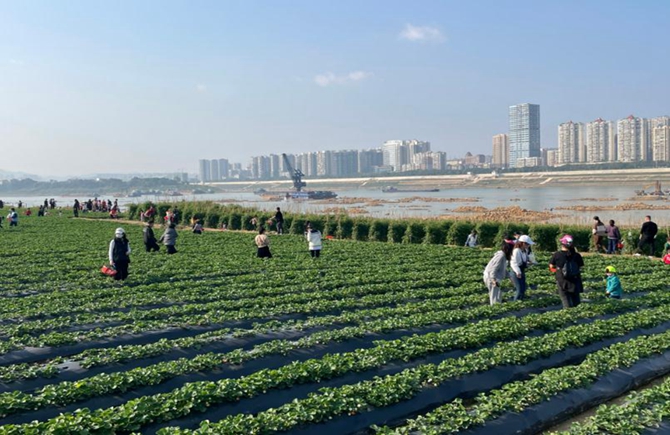 打造生态农业体验公园