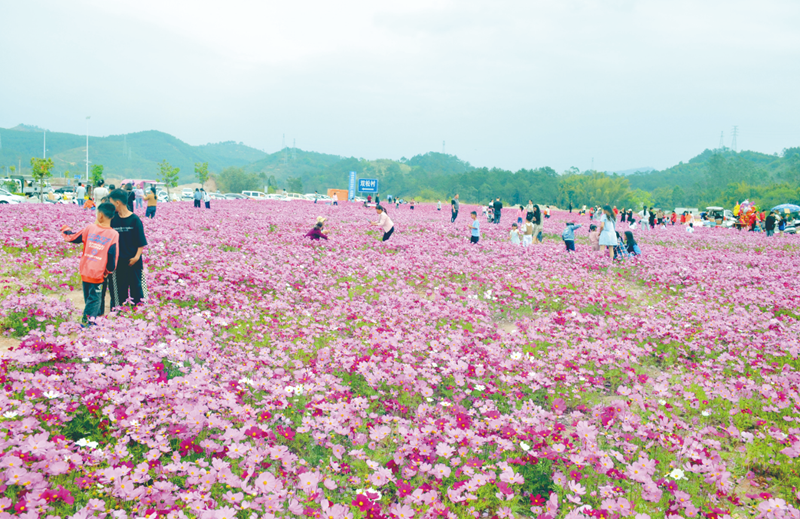 打造花园式工业园区